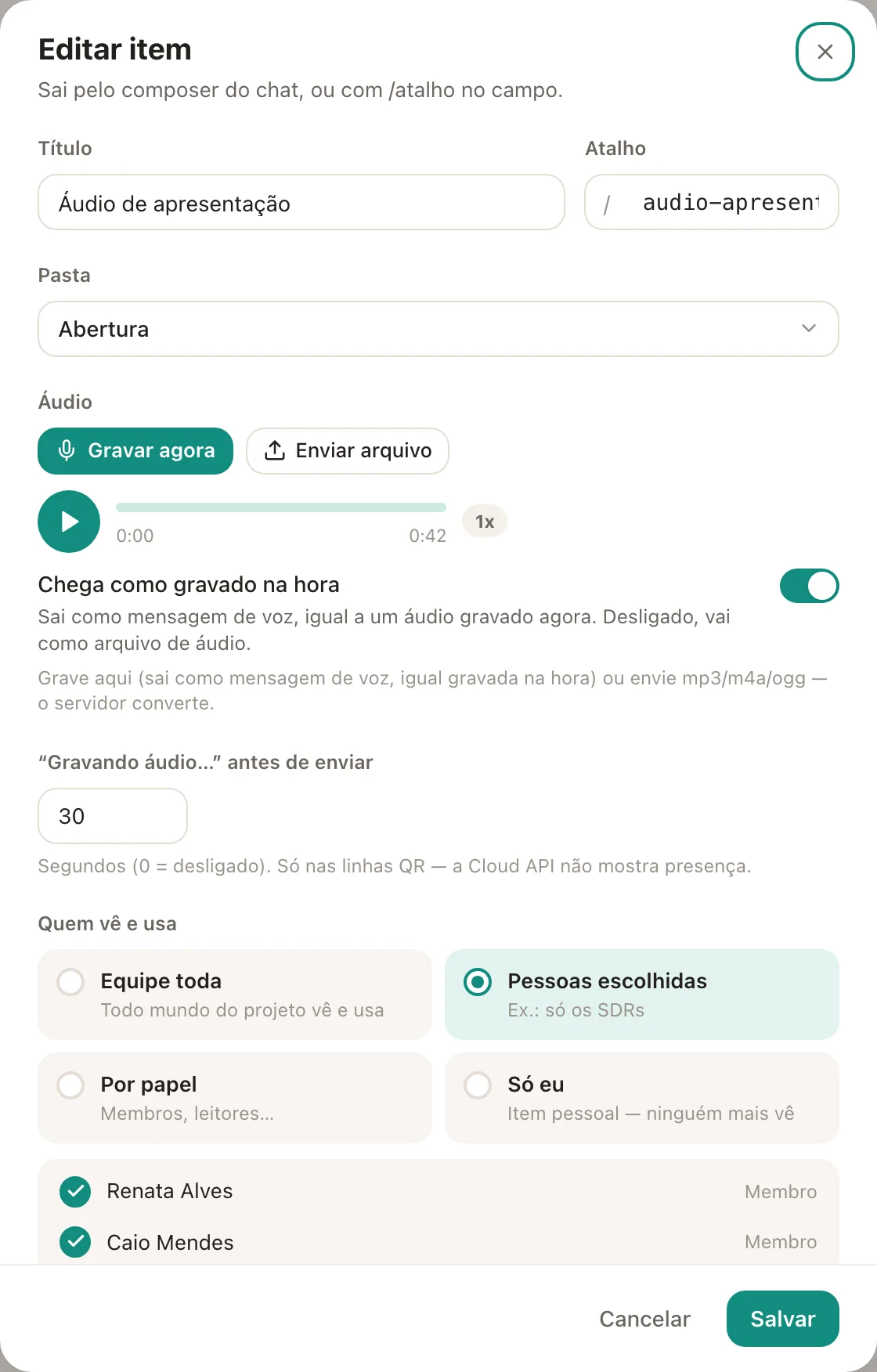 O formulário de um item de áudio.